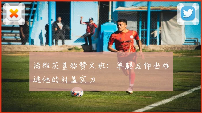 诺维茨基称赞文班：单腿后仰也难逃他的封盖实力